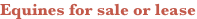 shapeimage_1_link_0